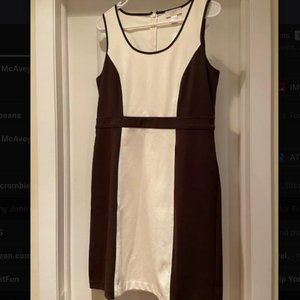 Ann Taylor Loft Brown and Beige A-line dress